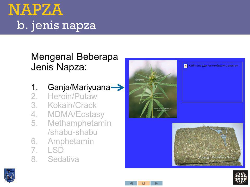 NAPZA b. jenis napza Mengenal Beberapa Jenis Napza: Ganja/Mariyuana