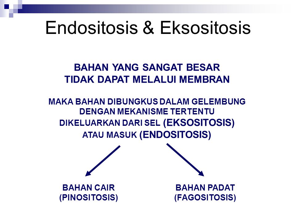 Endositosis & Eksositosis