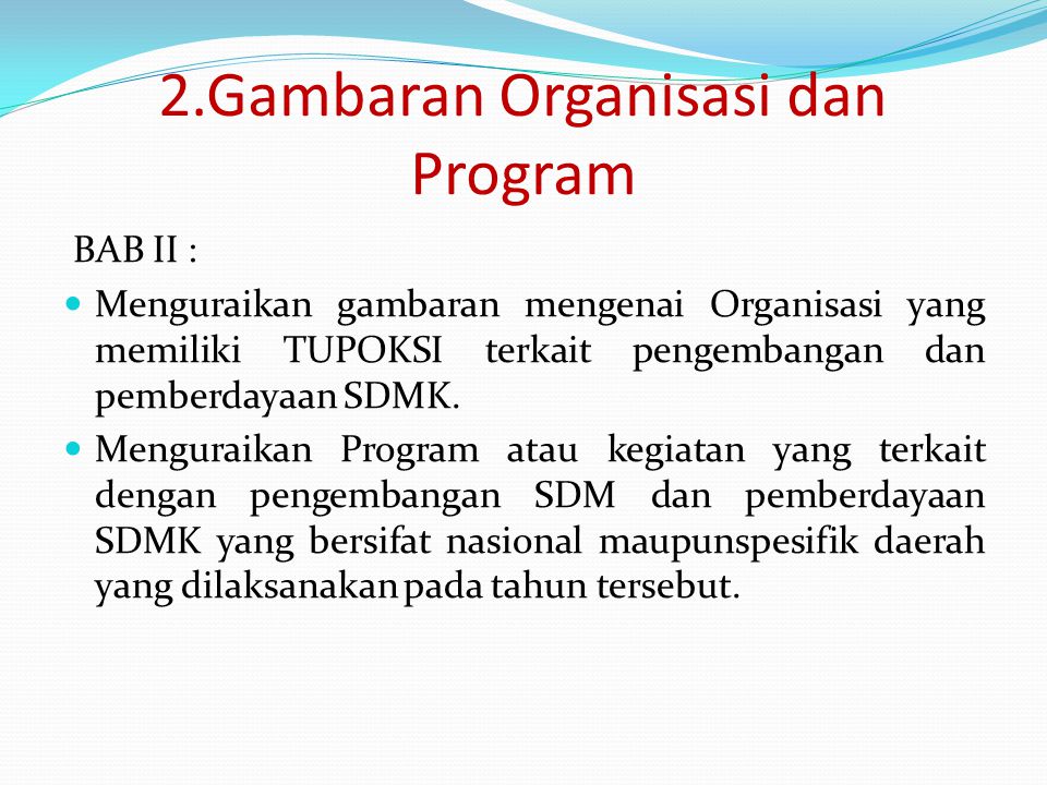 2.Gambaran Organisasi dan Program