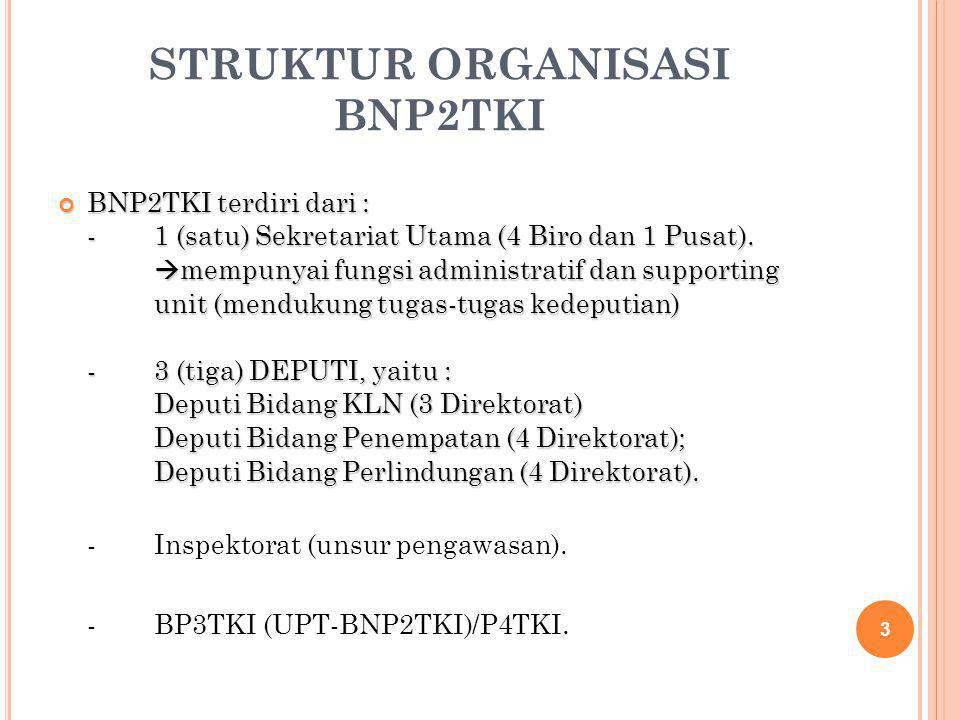 STRUKTUR ORGANISASI BNP2TKI