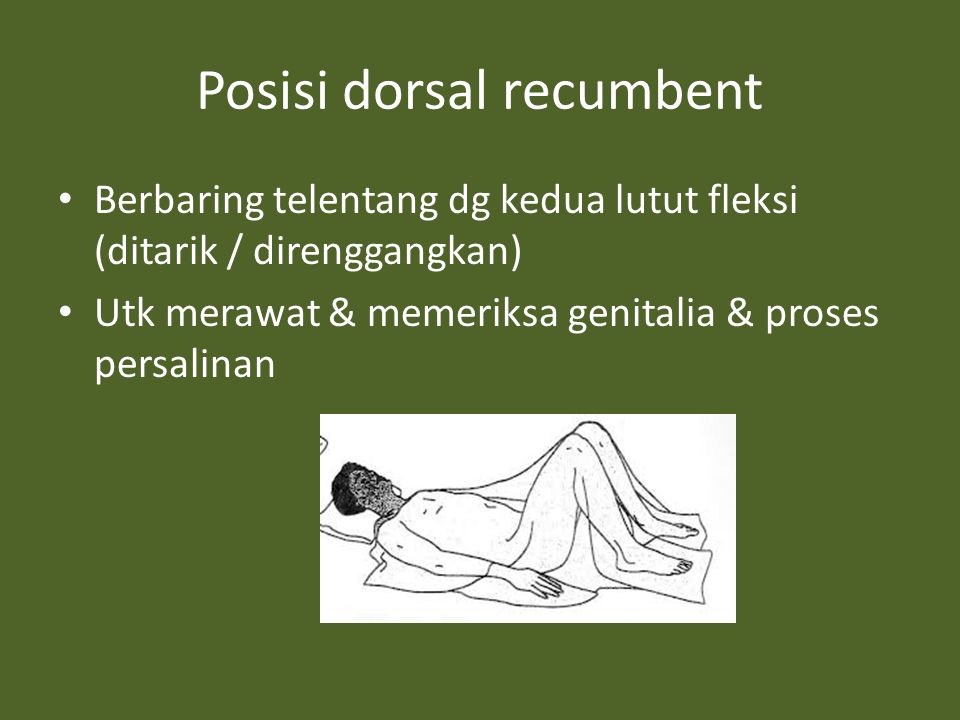 Posisi dorsal recumbent