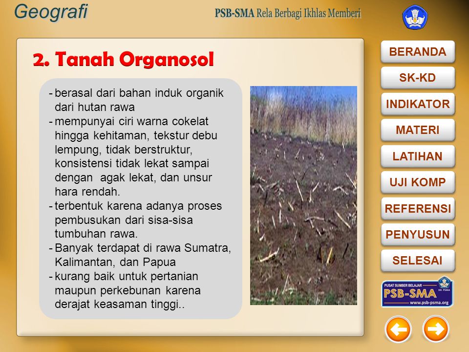 2. Tanah Organosol berasal dari bahan induk organik dari hutan rawa