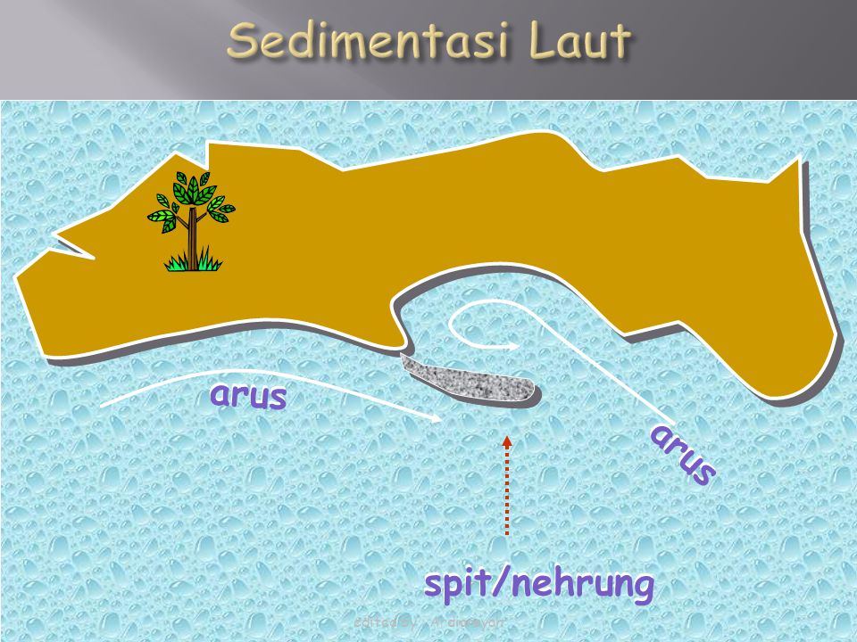 Sedimentasi Laut arus arus arus arus spit/nehrung spit/nehrung