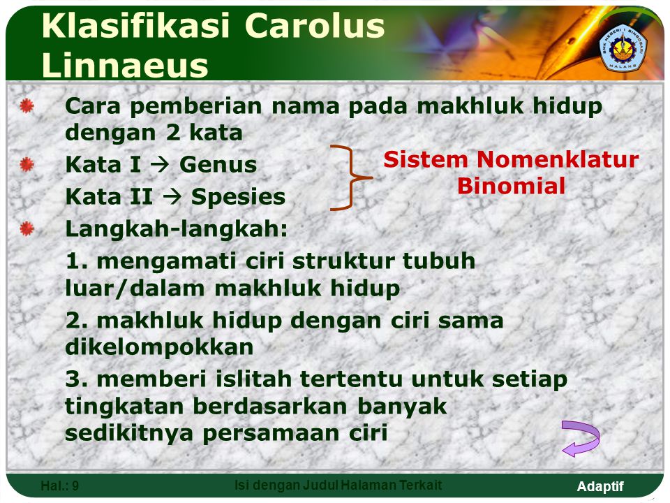 Klasifikasi Carolus Linnaeus