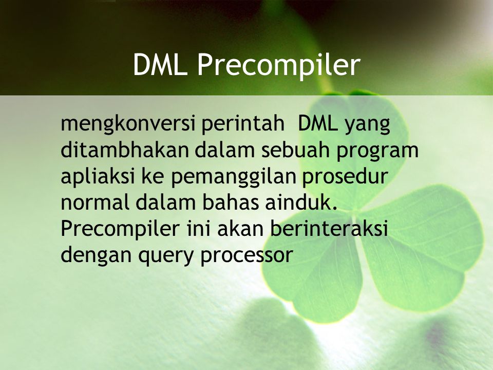 DML Precompiler