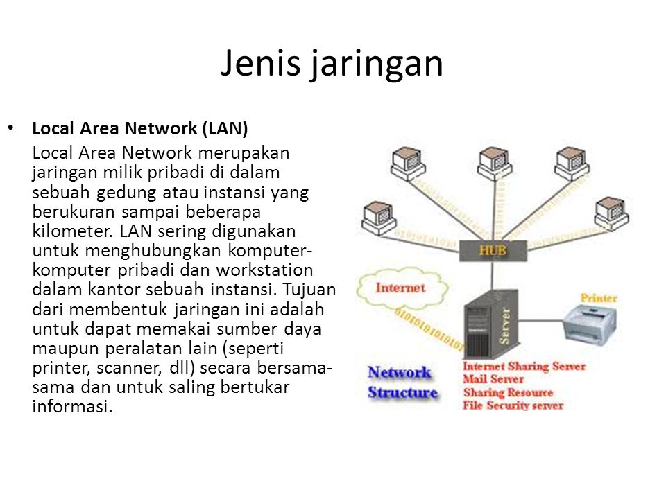 Jenis jaringan Local Area Network (LAN)