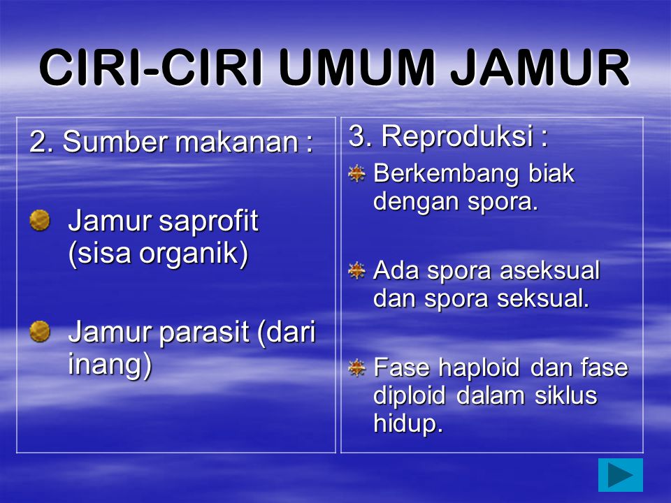 CIRI-CIRI UMUM JAMUR 3. Reproduksi : 2. Sumber makanan :