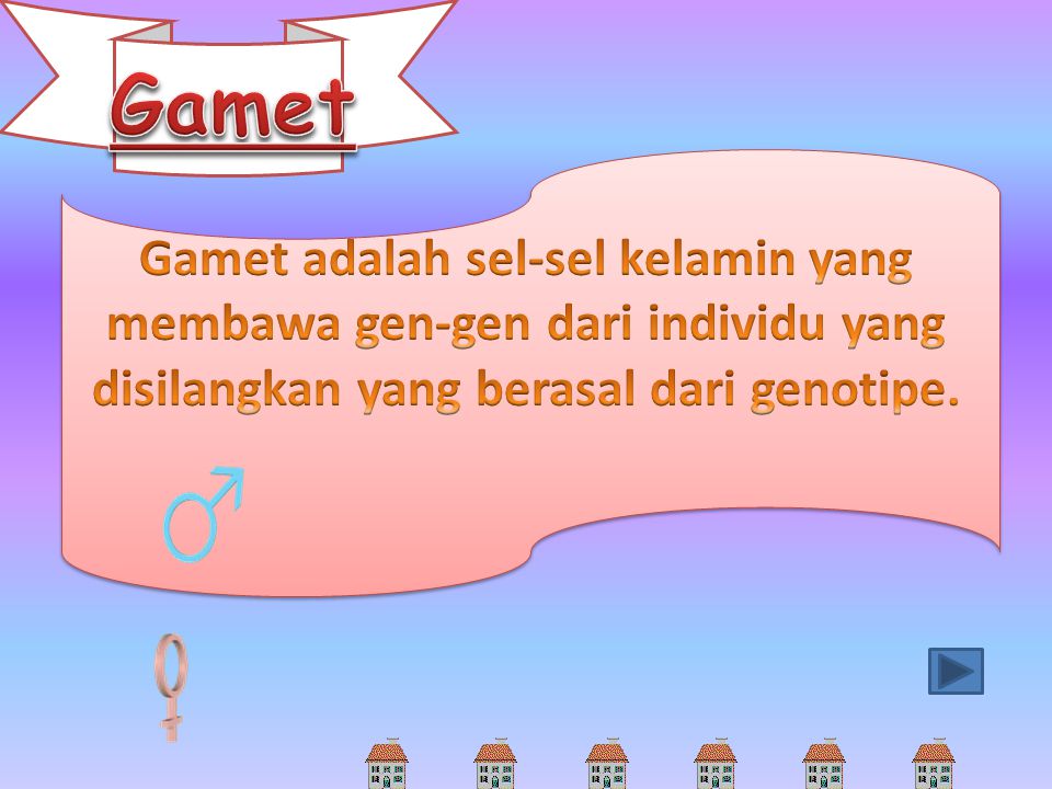 Gamet Gamet adalah sel-sel kelamin yang membawa gen-gen dari individu yang disilangkan yang berasal dari genotipe.