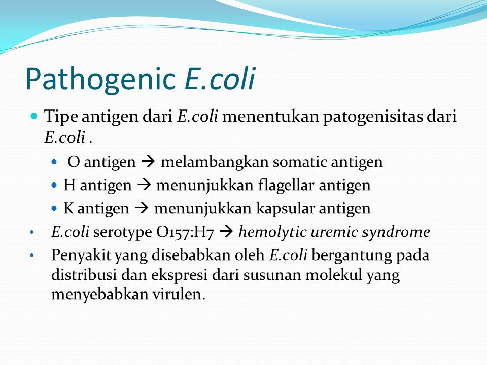 Escherichia colis menyebabkan