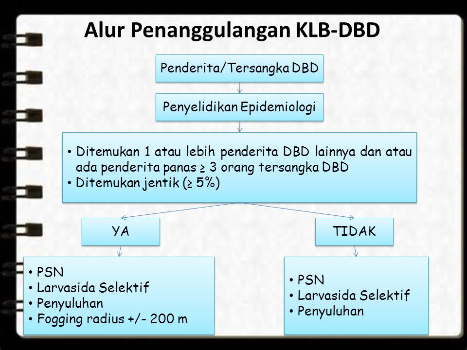 Alur Penanggulangan KLB-DBD