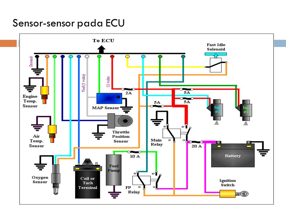 Sensor-sensor pada ECU