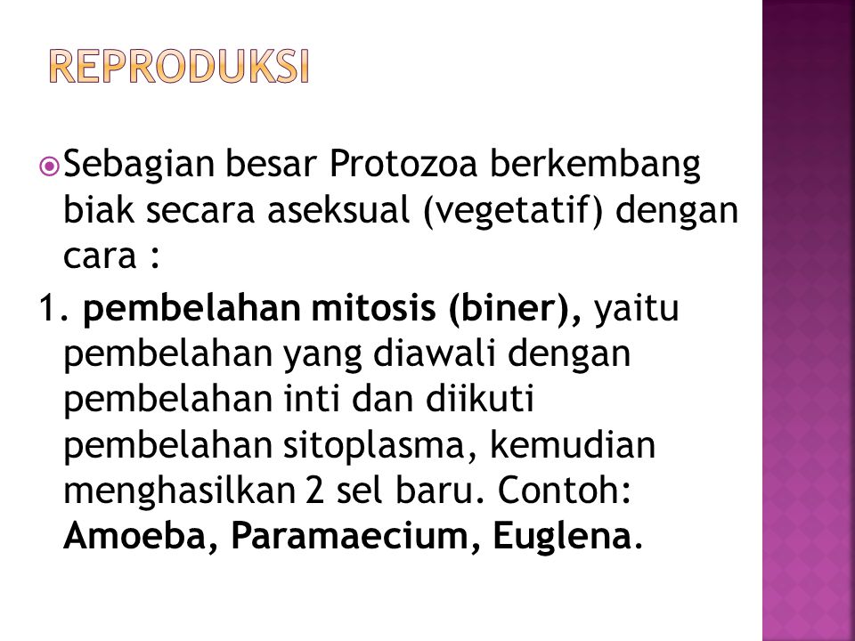 Protozoa bereproduksi dengan cara ….