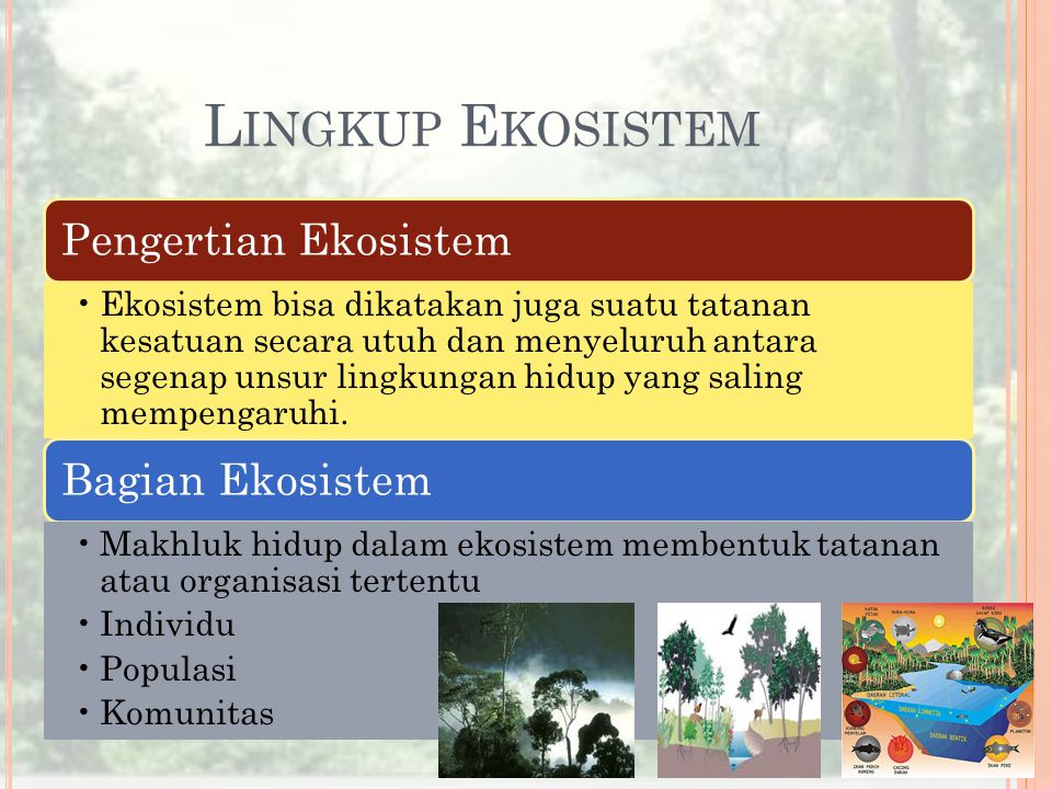 Lingkup Ekosistem Pengertian Ekosistem Bagian Ekosistem