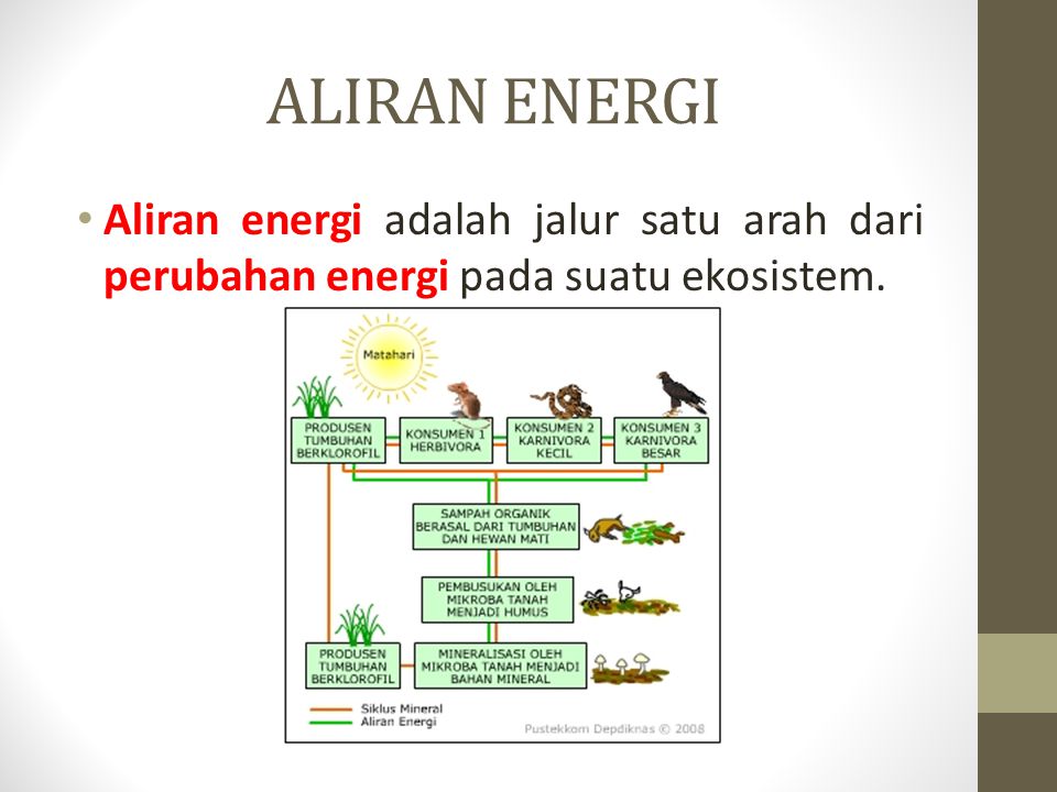 ALIRAN ENERGI Aliran energi adalah jalur satu arah dari perubahan energi pada suatu ekosistem.