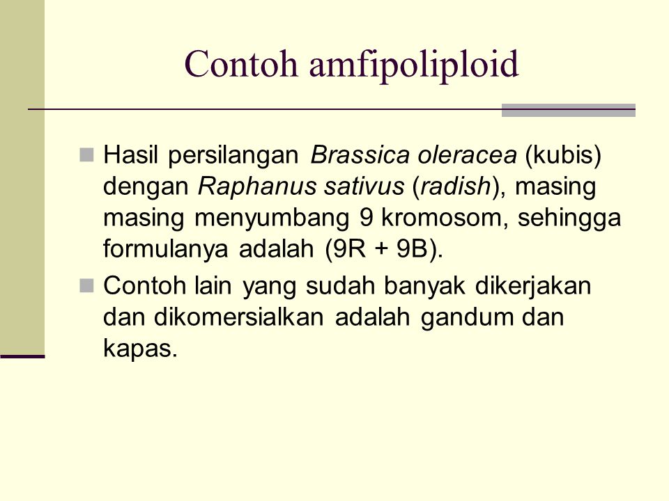 Contoh amfipoliploid