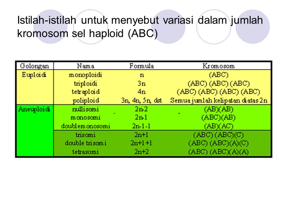 Istilah-istilah untuk menyebut variasi dalam jumlah kromosom sel haploid (ABC)