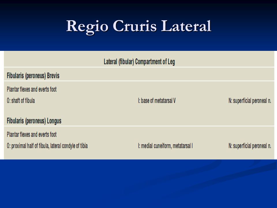 Regio Cruris Lateral