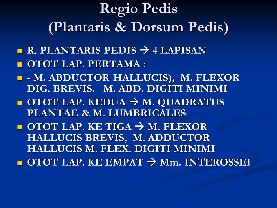 Regio Pedis (Plantaris & Dorsum Pedis)