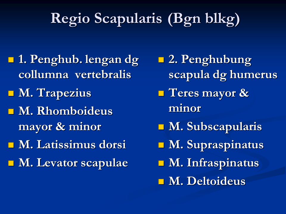 Regio Scapularis (Bgn blkg)