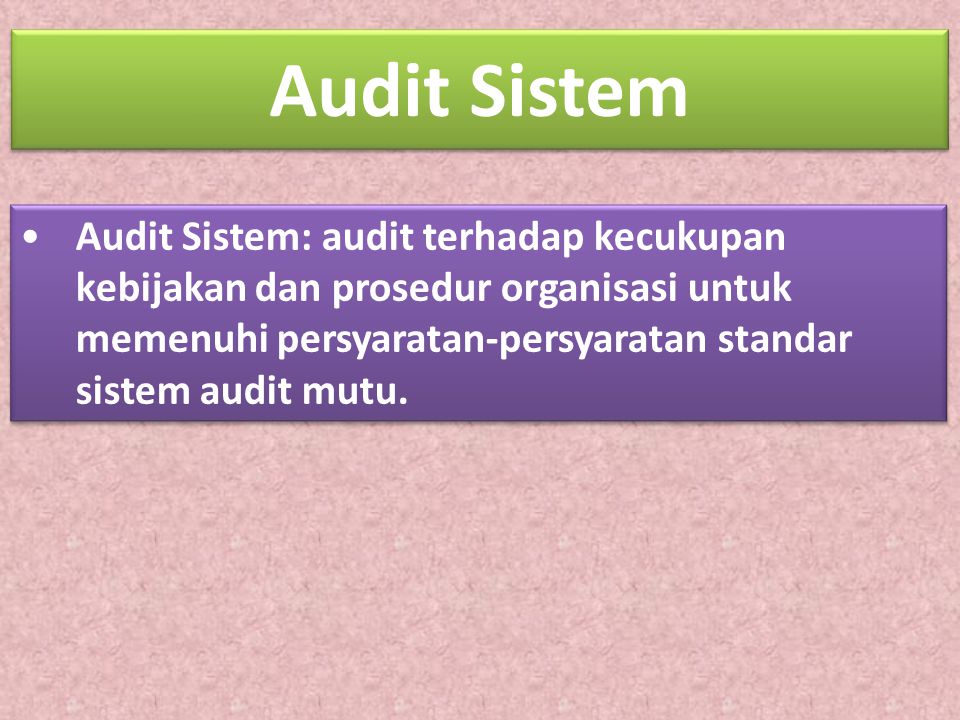 Audit Sistem