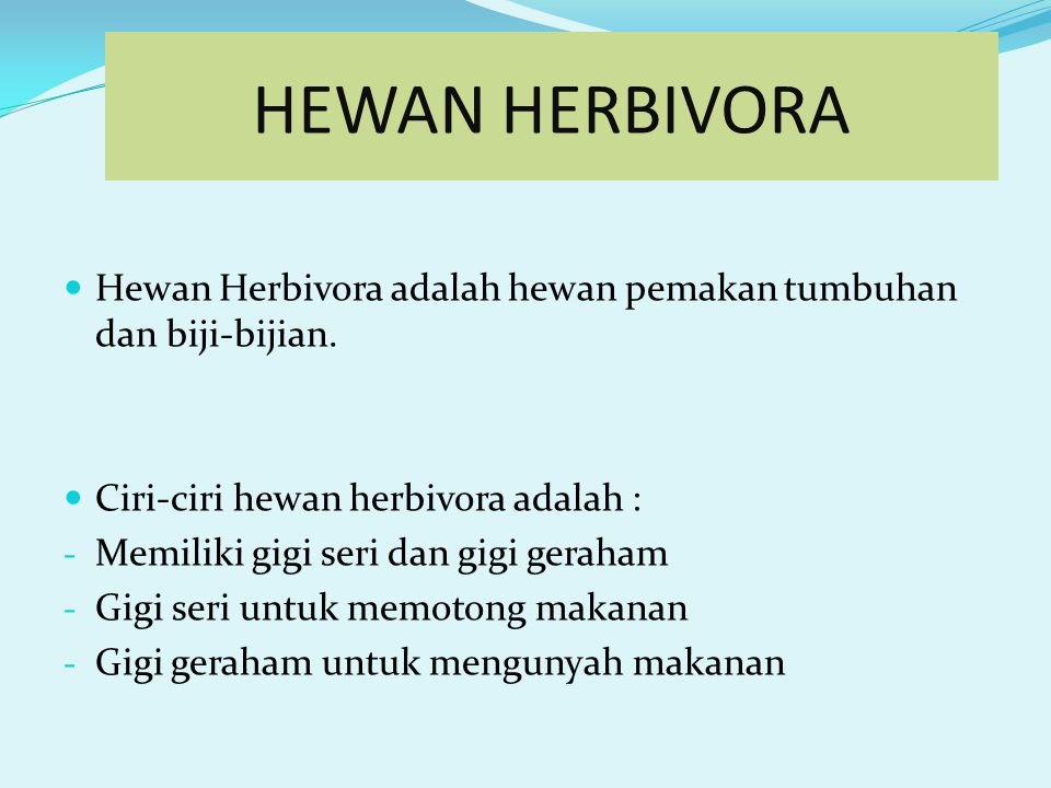HEWAN HERBIVORA Hewan Herbivora adalah hewan pemakan tumbuhan dan biji-bijian. Ciri-ciri hewan herbivora adalah :