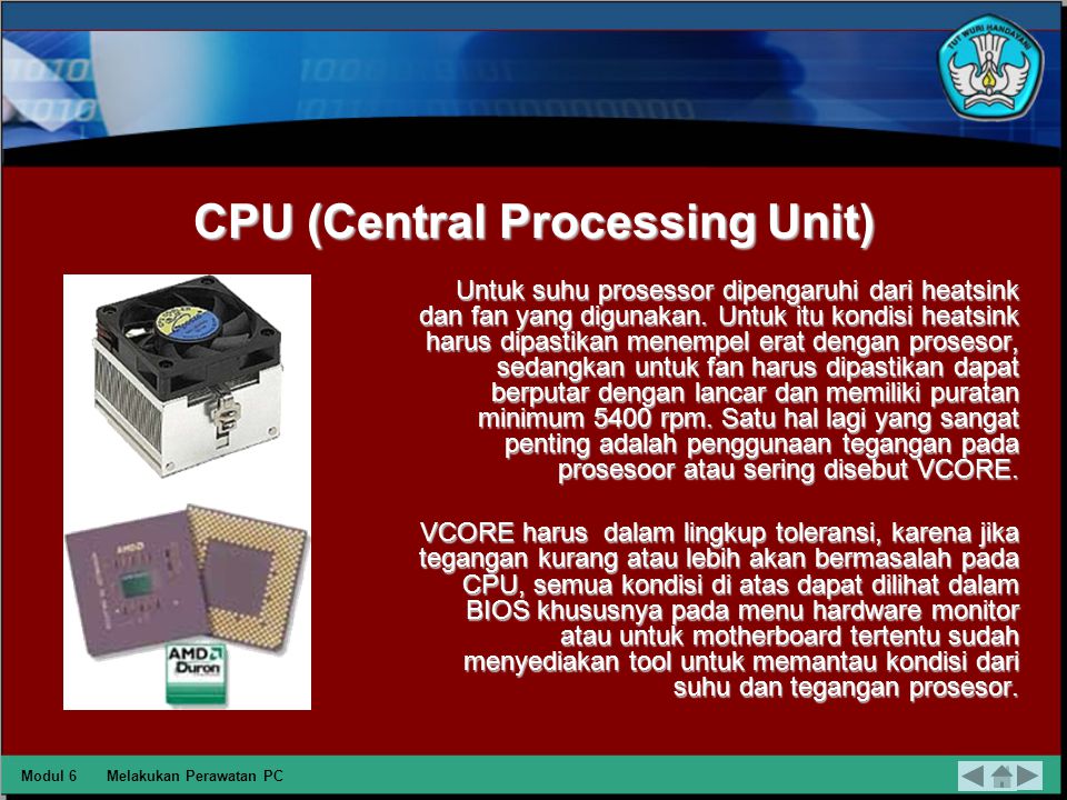 Презентация Central Processor Unit. Processor (Central processing Unit, CPU). Процессор mls3498 китайской сборки. Процессор Sucosoft ps32. Central processing