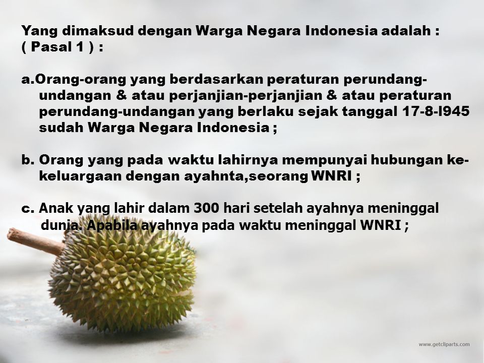 Yang dimaksud dengan Warga Negara Indonesia adalah :