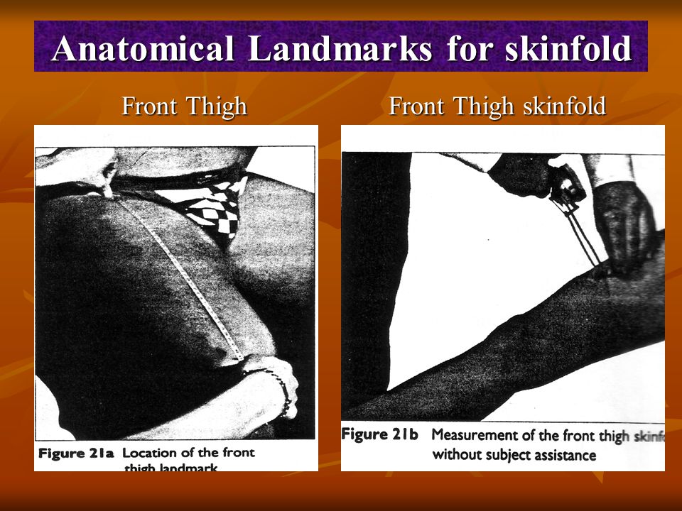 Anatomical Landmarks for skinfold
