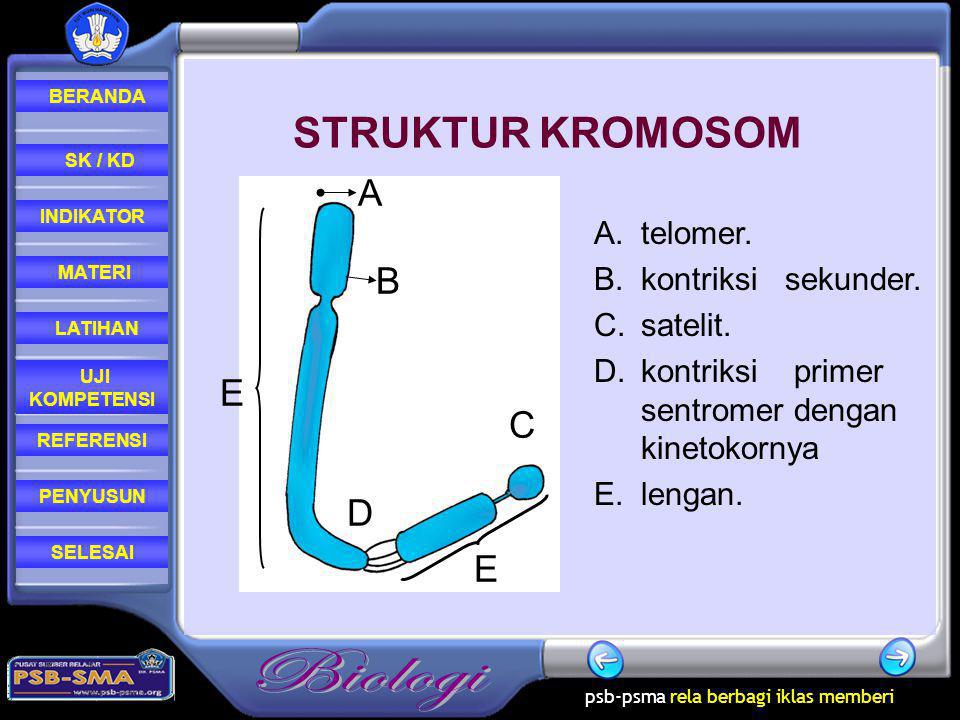 STRUKTUR KROMOSOM A B E C D E telomer. B. kontriksi sekunder.