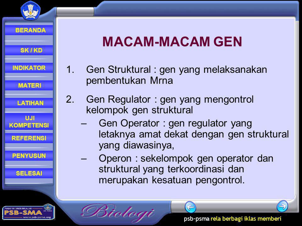 MACAM-MACAM GEN Gen Struktural : gen yang melaksanakan pembentukan Mrna. Gen Regulator : gen yang mengontrol kelompok gen struktural.