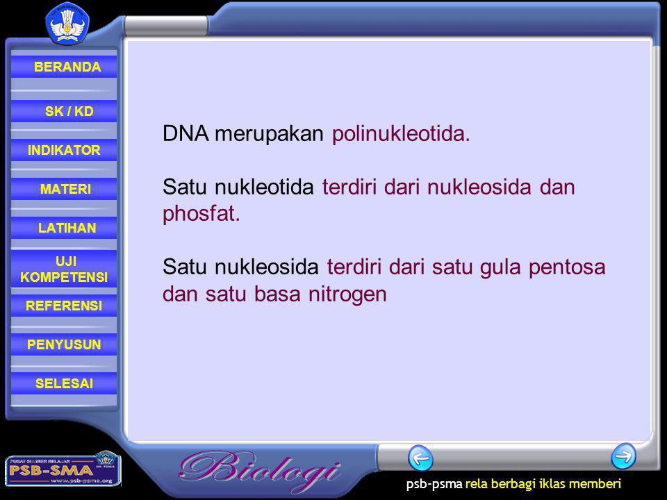 DNA merupakan polinukleotida.