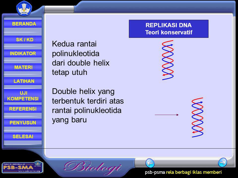 Kedua rantai polinukleotida dari double helix tetap utuh