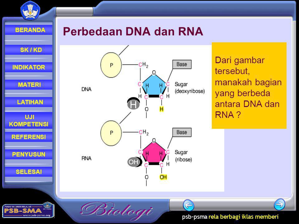 Perbedaan DNA dan RNA Dari gambar tersebut, manakah bagian yang berbeda antara DNA dan RNA H OH