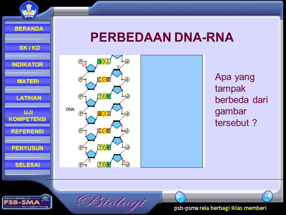 PERBEDAAN DNA-RNA Apa yang tampak berbeda dari gambar tersebut