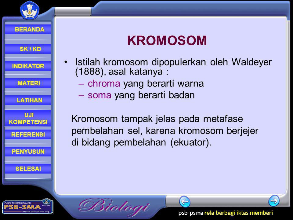 KROMOSOM Istilah kromosom dipopulerkan oleh Waldeyer (1888), asal katanya : chroma yang berarti warna.