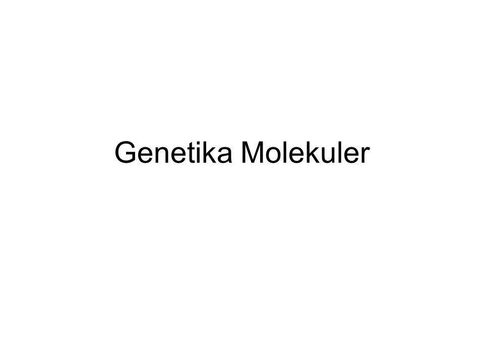Genetika Molekuler