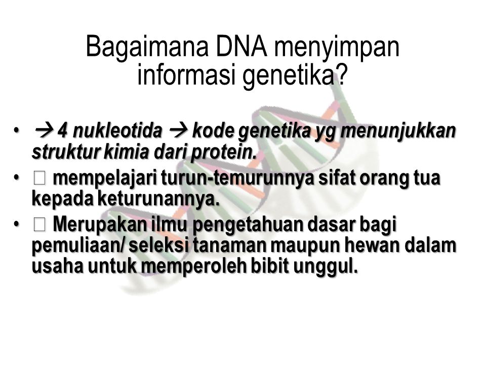Bagaimana DNA menyimpan informasi genetika