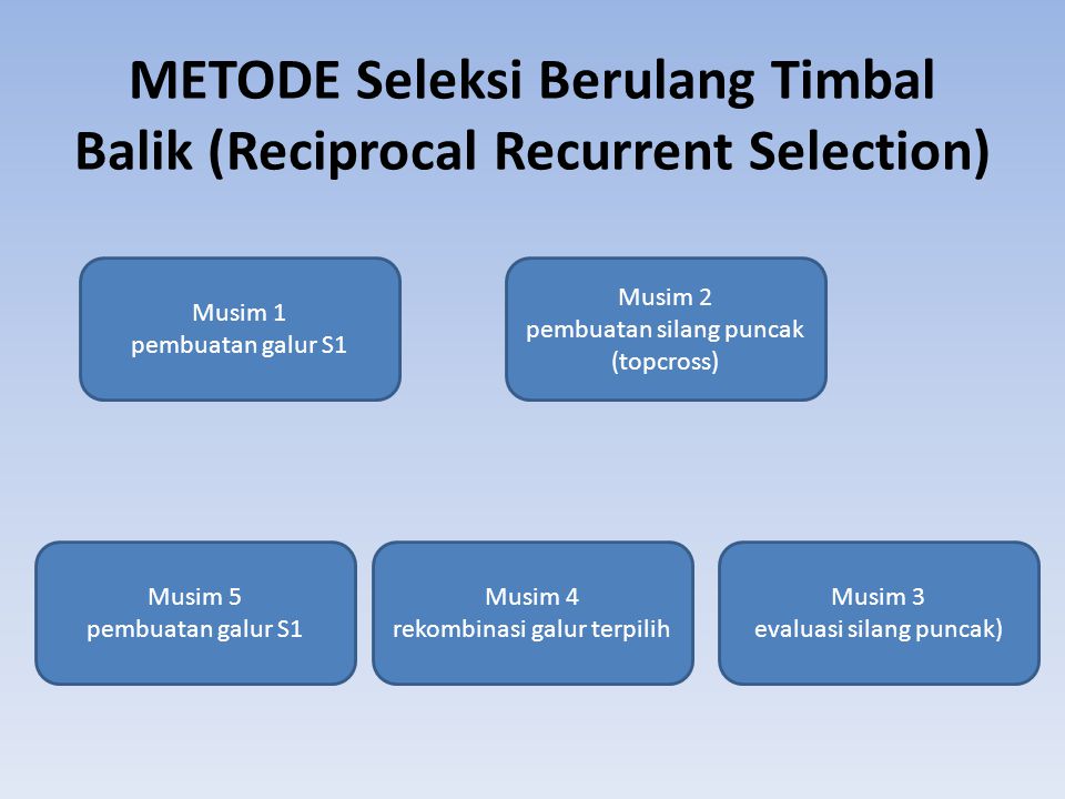METODE Seleksi Berulang Timbal Balik (Reciprocal Recurrent Selection)