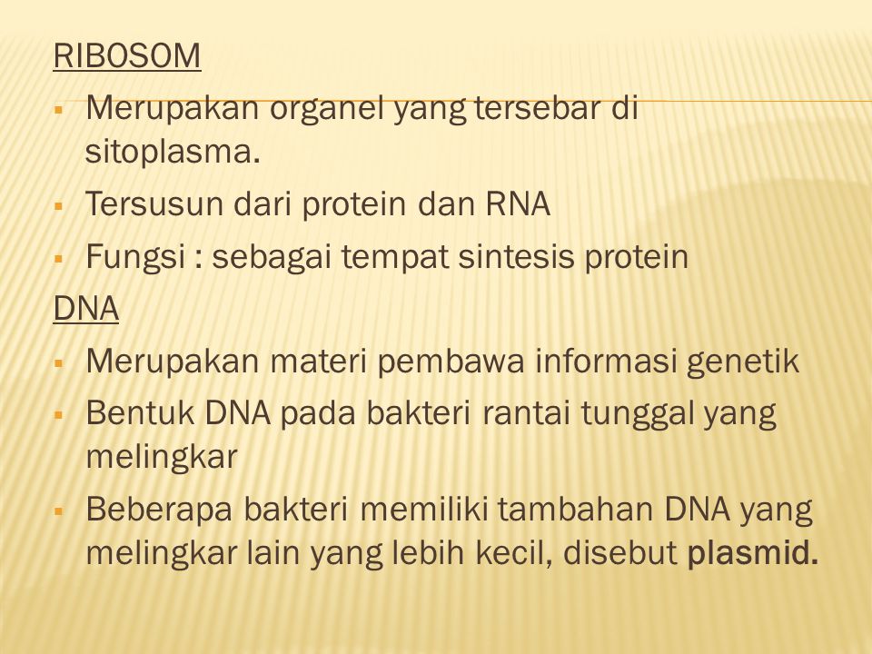 RIBOSOM Merupakan organel yang tersebar di sitoplasma. Tersusun dari protein dan RNA. Fungsi : sebagai tempat sintesis protein.