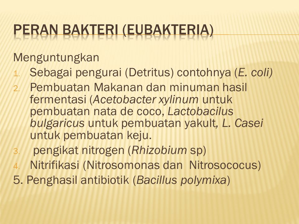 Peran Bakteri (Eubakteria)