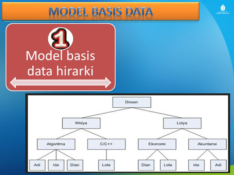 Model basis data hirarki