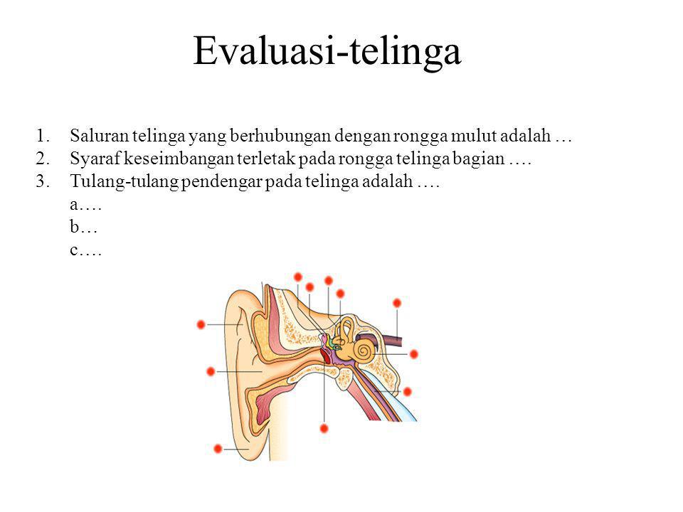 Evaluasi-telinga Saluran telinga yang berhubungan dengan rongga mulut adalah … Syaraf keseimbangan terletak pada rongga telinga bagian ….