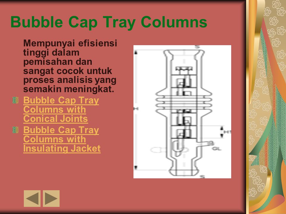 Bubble Cap Tray Columns
