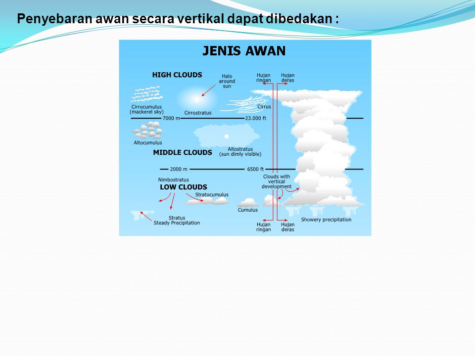 Penyebaran awan secara vertikal dapat dibedakan :