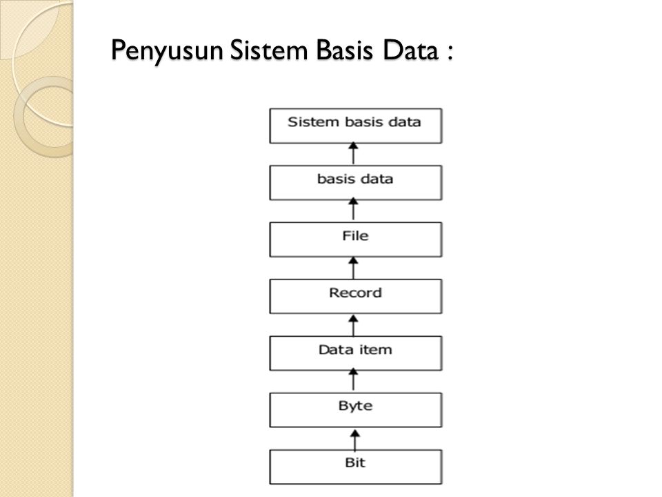 Penyusun Sistem Basis Data :