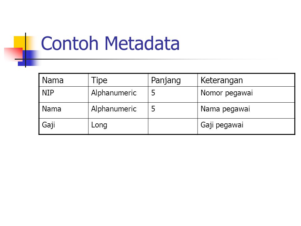 Contoh Metadata Nama Tipe Panjang Keterangan NIP Alphanumeric 5