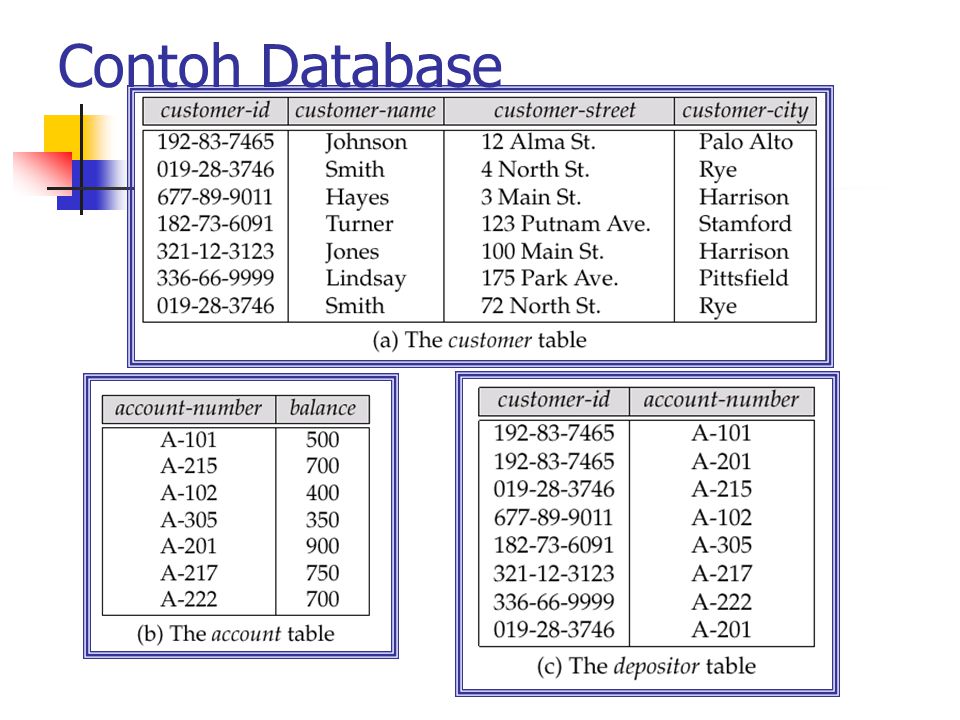 Contoh Database