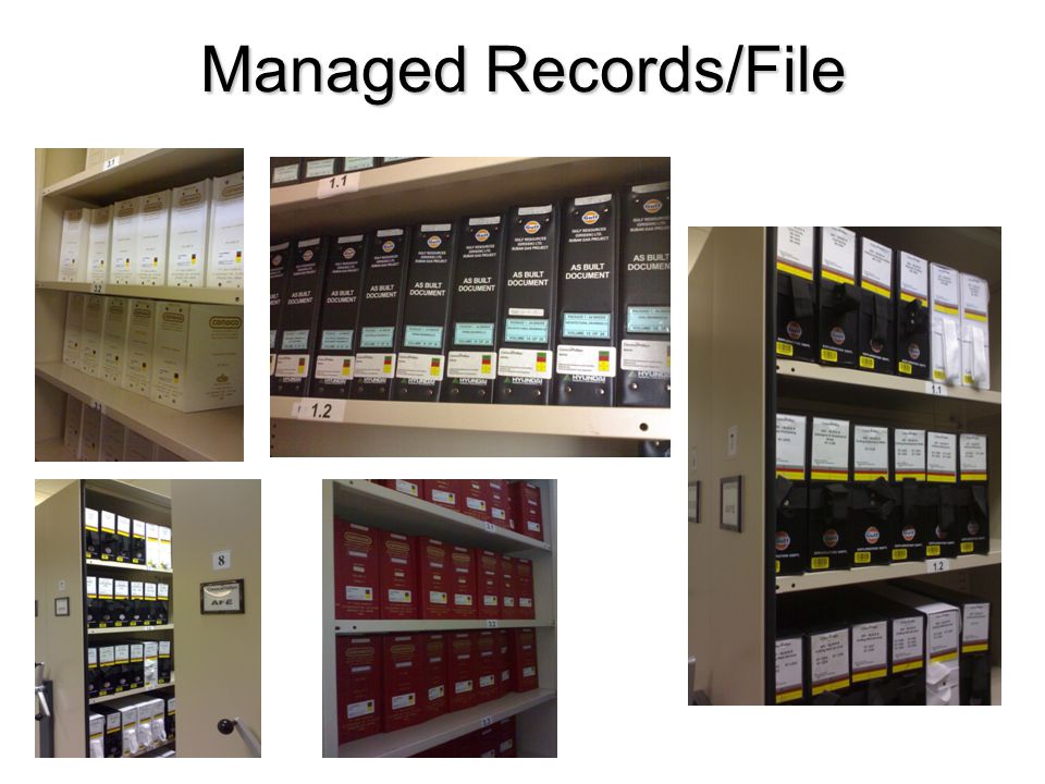 Managed Records/File