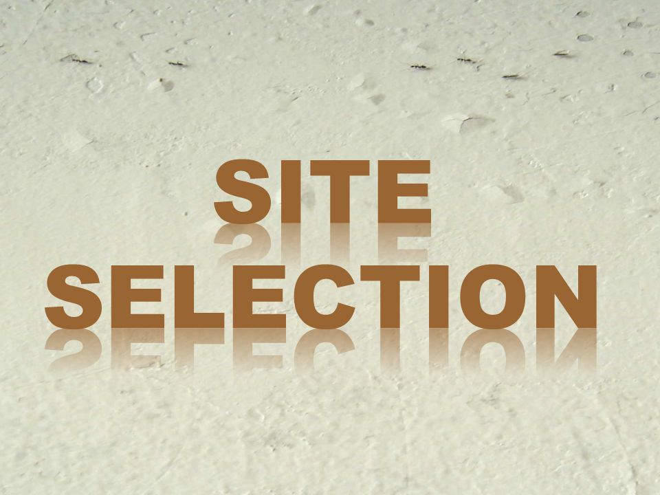 Selection site
