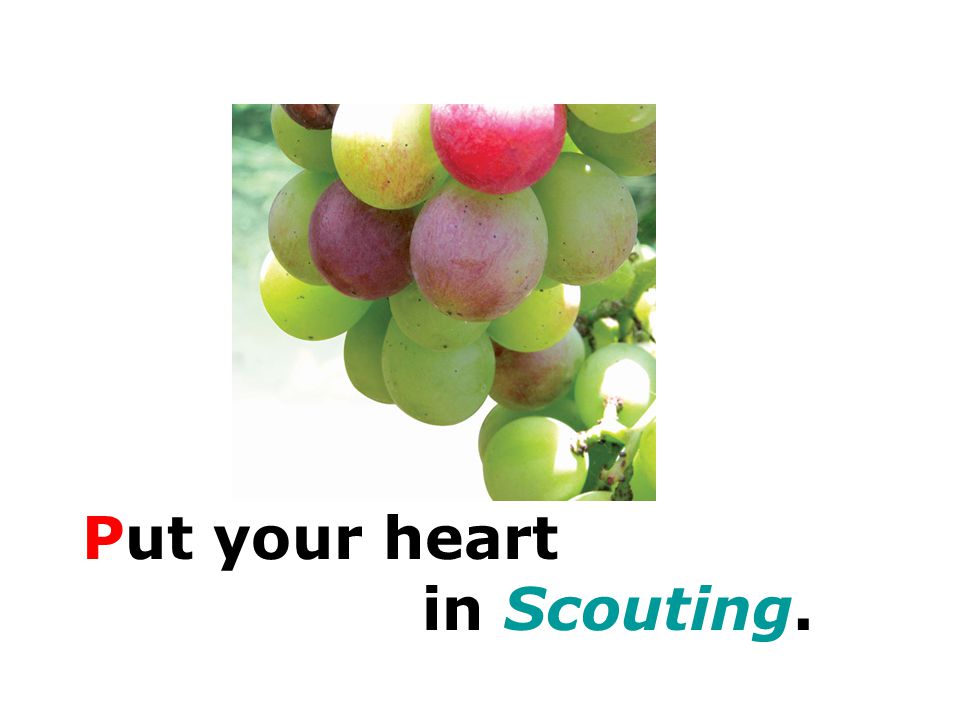 Put your heart in Scouting.